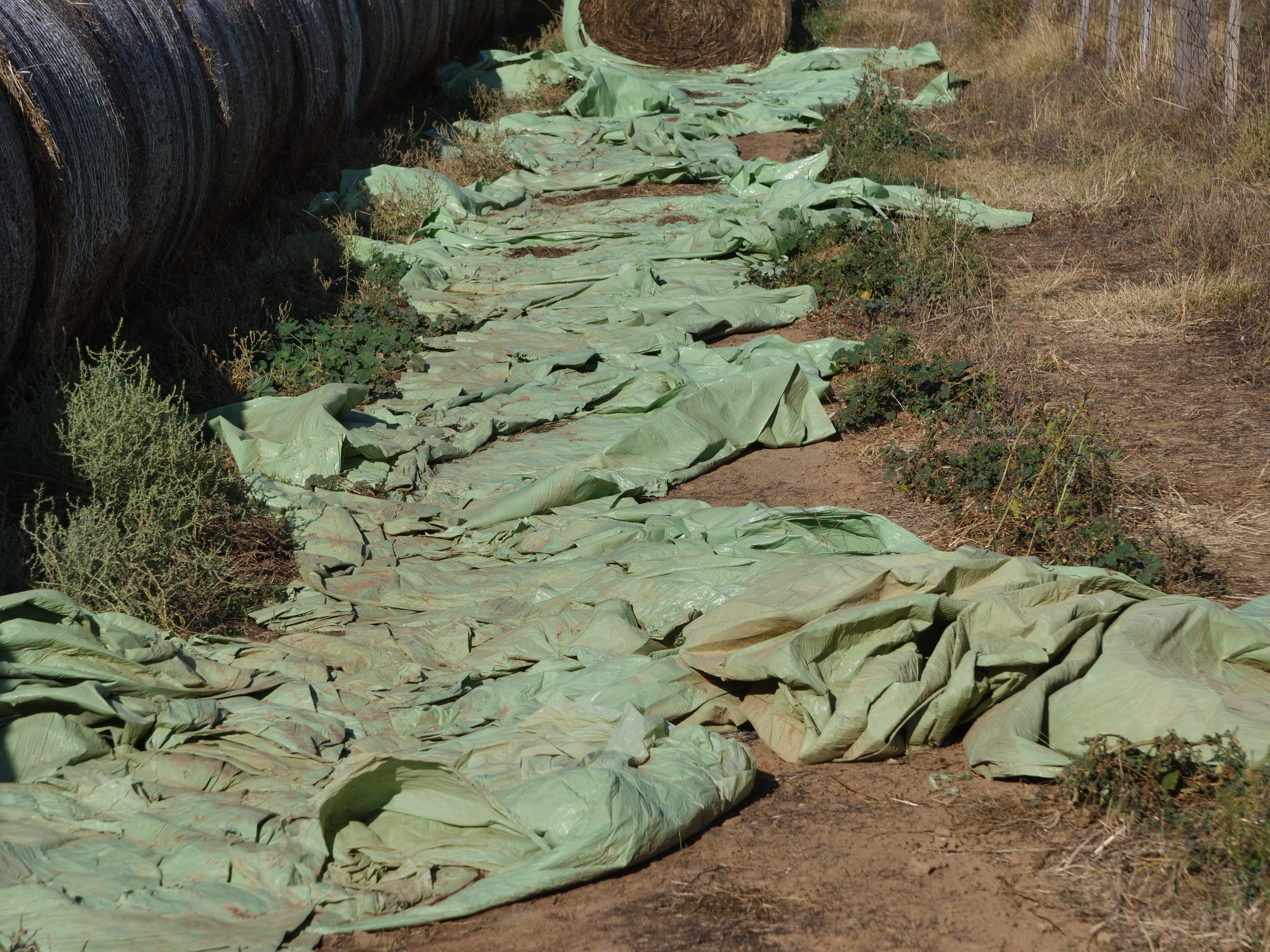 Why New Zealand farms are embracing plastic recycling